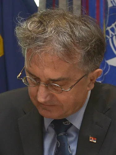Nebojša Rodić — srpski političar i diplomata